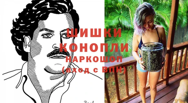 винт Алзамай