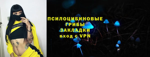 винт Алзамай