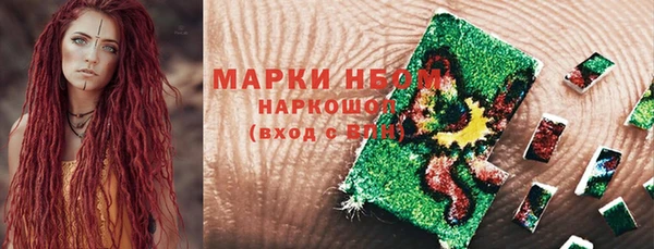 винт Алзамай